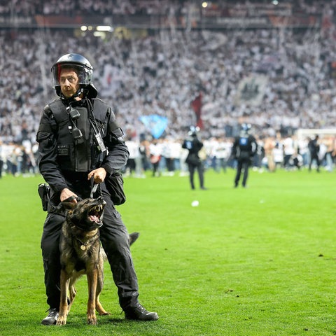 Ein Polizist mit Hund auf dem Rasen im Deutsche Bank Park